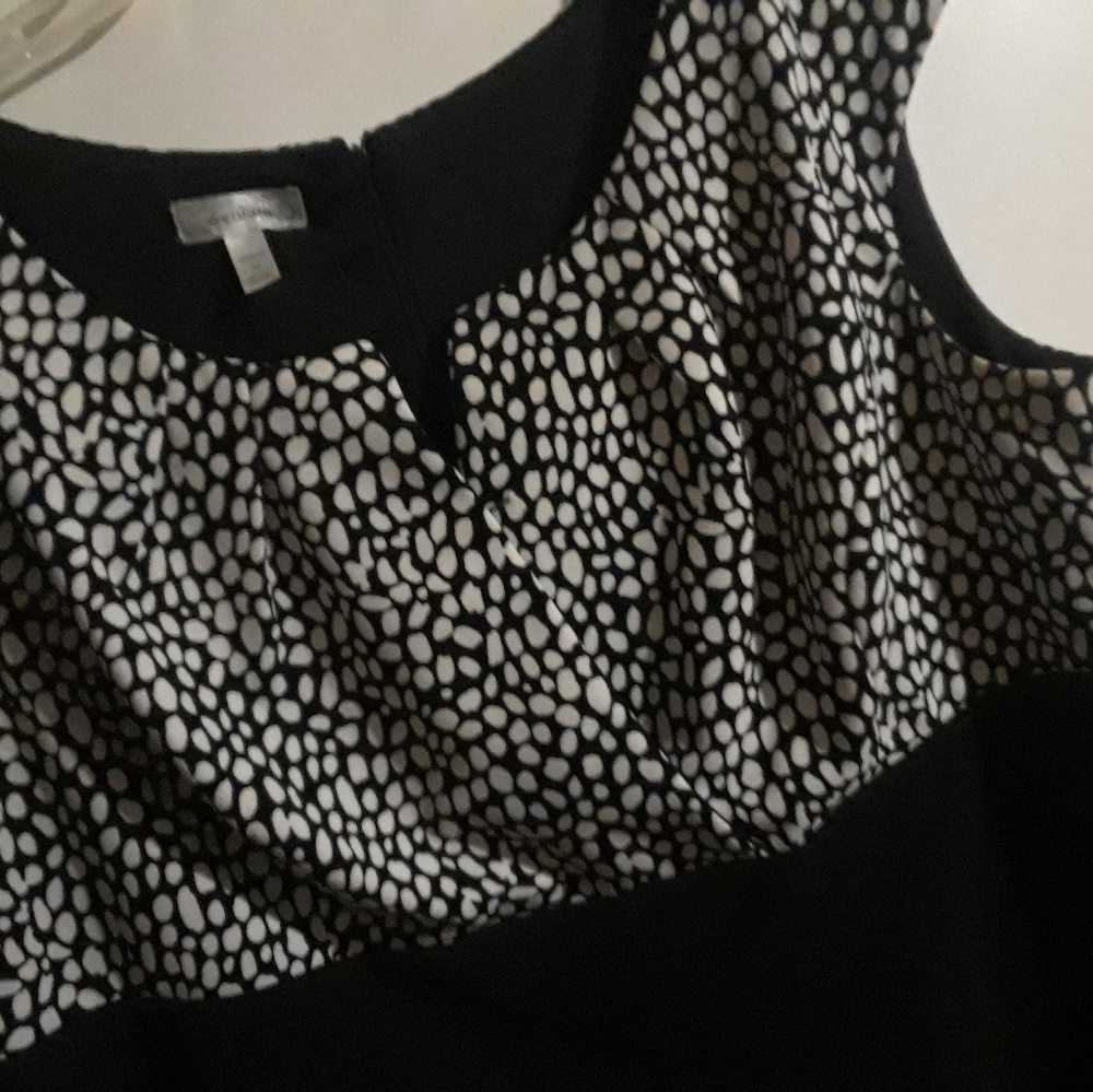 Size 22 Dress